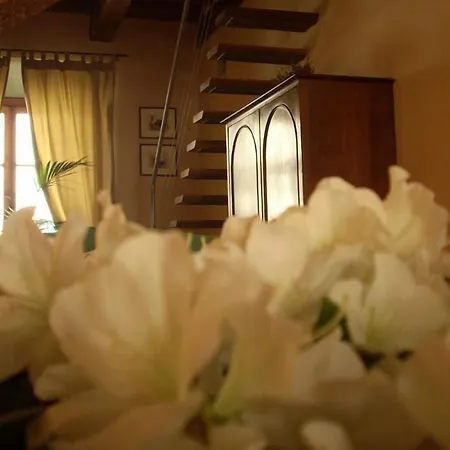 カプリ ムーン フィレンツェ